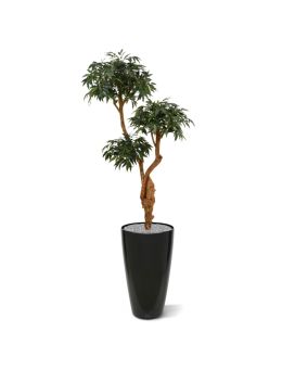 Shirakashi Layer Deluxe Plante Artificielle 160 cm