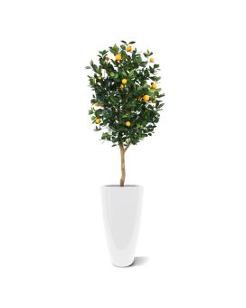 Oranger artificiel deluxe 150cm