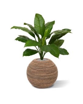 Spathiphyllum King plante artificielle de 80 cm vert