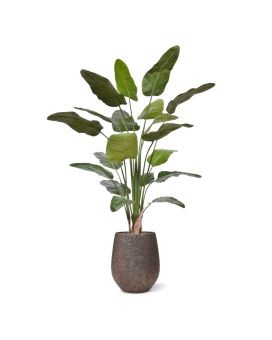 Plante Artificielle Strelitzia Nicolai 230cm Deluxe