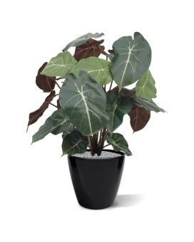 Plante artificielle Syngonium 60cm