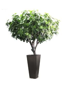 Figuier Arbre Artificiel deluxe de 250cm