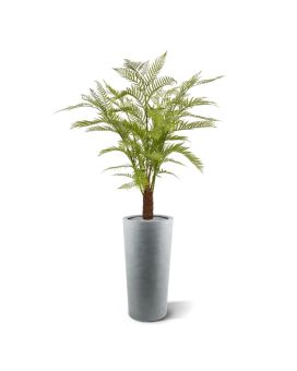 Woodwardia Fougère artificiel de 140 cm sur tronc