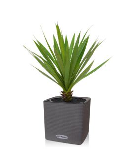 Yucca plante artificielle de 40 cm en pot
