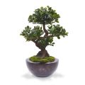 Panda Bonsaï artificiel de 70 cm sur socle