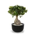 Panda Bonsaï artificiel de 55 cm