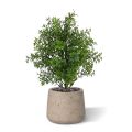 Eucalyptus Bouquet artificiel de 30 cm UV
