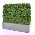 Haie de Lierre artificielle de 80x25x56 cm UV