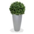 Boule de Buis Artificiel Deluxe 60 cm