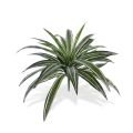 Draceana plante artificielle de 40 cm verte-panaché