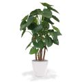 Alocasia Calidora Plante artificielle Deluxe 165 cm