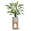 Calathea 75cm Plante artificielle verte
