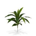 Dracaena Plante Artificielle de 60 cm vert