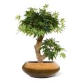Acer Bonsaï artificiel de 60 cm vert