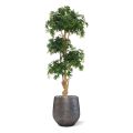Acer Bonsaï Deluxe artificiel de 170 cm vert