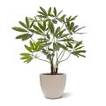 Philodendron Fun Bun plante artificielle de luxe 100cm