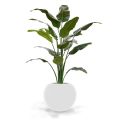 Traveller Palmier artificielle deluxe de 165 cm