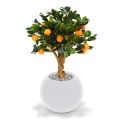 Bonsaï d’Oranger Artificielle 65 cm sur pied