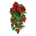 Geranium artificiel suspendu deluxe 70cm rouge