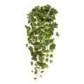 fausse plante tombante Lierre en chute de 65 cm vert