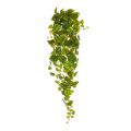Pothos artificiel en chute de 130 cm panache