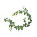 Scindapsus Pictus artificiel en guirlande de 180 cm