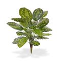 Calathea Roseopicta plante artificielle de 65 cm