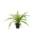 Fougère Asplenium plante artificielle de 45 cm en pot