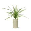 Plante artificielle Asplenium Fern 75 cm dans un pot de 12 cm
