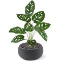 Plante artificiel de Monstera Adonsonii 40cm