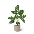 Plante Artificielle de Monstera Adonsonii 40cm en pot