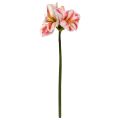 Amaryllis Fleur Artificielle 67cm Blanc Rouge