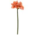 Amaryllis Fleur Artificielle 67cm Saumon