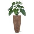 Fausse plante d'Alocasia calidora 60cm