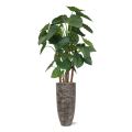 Alocasia Calidora Plante artificielle Deluxe 165 cm FR