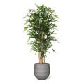 Bambou Arbre artificielle Deluxe de 180 cm