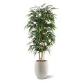 Bambou Arbre artificielle de 180 cm