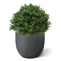 Boule de Buis artificiel Deluxe 40 cm