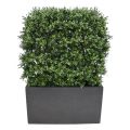 Fausse Haie de Buis Deluxe 80x100 cm anti-uv