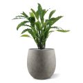 Calathea plante artificielle vert 60cm