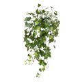 Chute d'Lierre artificiel 65 cm UV