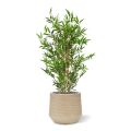 Bambou japonais Plante artificielle 90 cm artificiel anti UV