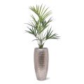 Kentia Palmier artificiel de 135 cm