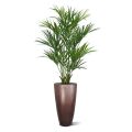 Kentia palmier artificielle XL deluxe 190cm