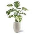 Monstera Plante Artificielle de 110cm vert/panache