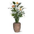 Strelitzia plante artificielle de 145cm