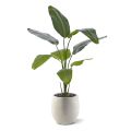 Plante artificielle Strelitzia Nicolai 120cm