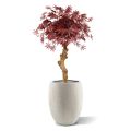 Acer Bonsaï artificiel sur tronc de 85 cm bordeaux