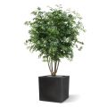 Erable artificiel Maple deluxe 165 cm