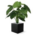 Alocasia calidora Plante artificielle 80cm